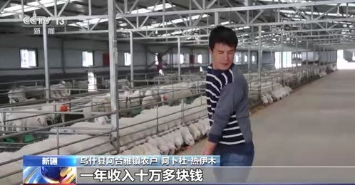 智慧養(yǎng)殖科技賦能 助力新疆畜牧業(yè)高質(zhì)量發(fā)展